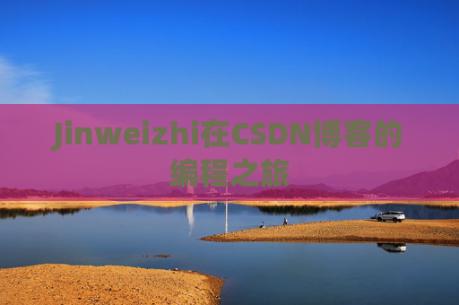Jinweizhi在CSDN博客的编程之旅